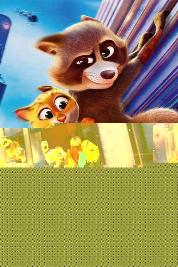 Pets on a Train