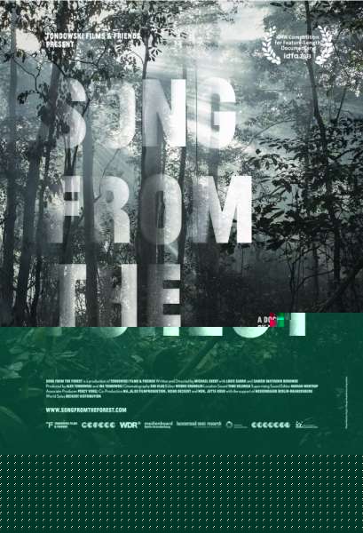 Song from the Forest