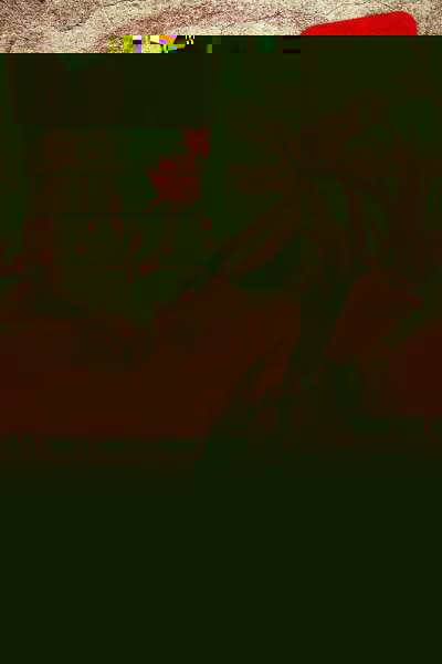 Hi-8 (Horror Independent 8)