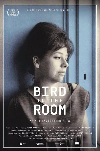 Bird in the Room