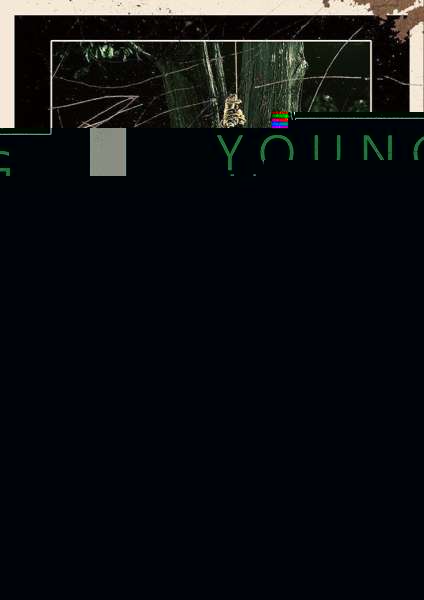 Young Harvest