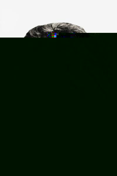 State of Siege