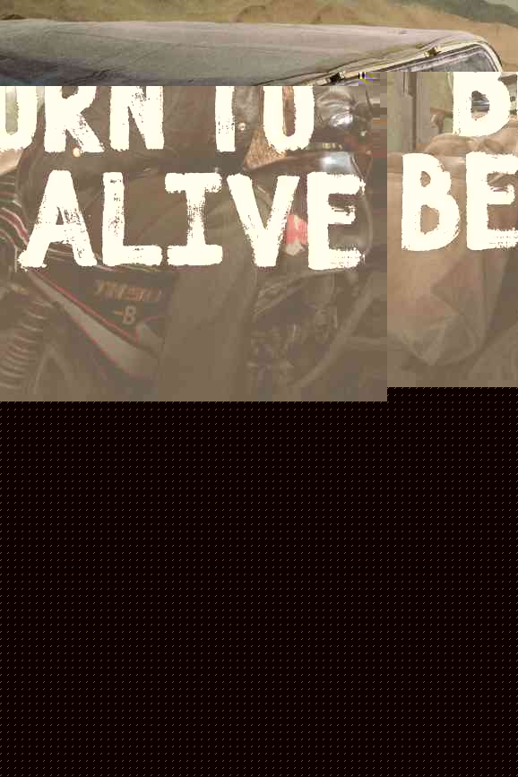 Born to Be Alive